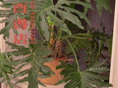 -二酉书店TOYOU BOOKS