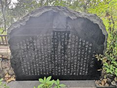 -上海佘山国家森林公园天马山园
