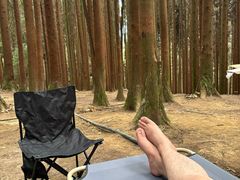 -武陵山森林公园