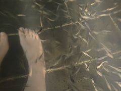 -山湖温泉