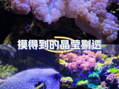 -南昌海洋公园