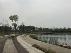 -白鹭湾湿地公园