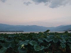 -西昌邛海湿地