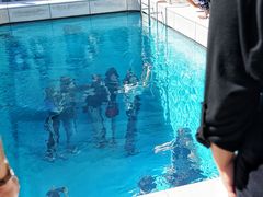 -金泽21世纪美术馆