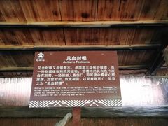 -海南槟榔谷黎苗文化旅游区