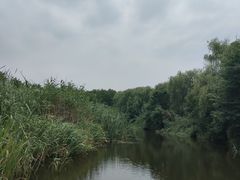 -同里国家湿地公园