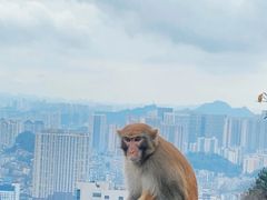 -黔灵山公园