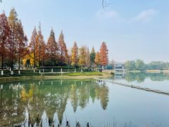 -升仙湖公园