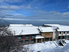 -小豆海棠(嘉兴路店)