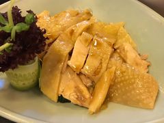 -Asianplus海蓝鸡饭