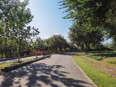 -永定河休闲森林公园