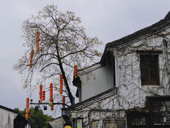 -东湖生态旅游风景区