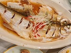 清蒸白水鱼-状元楼(金溪路店)