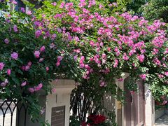 -天津五大道文化旅游区