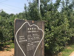 -意大利农场度假村