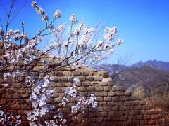 -蟠龙山长城景区