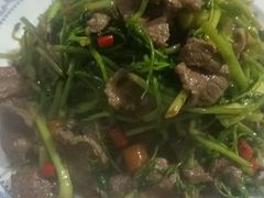 -柘林湖生态鱼馆