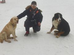 -太子岭滑雪场