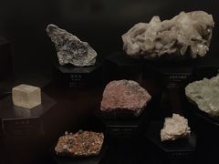 -正佳自然科学博物馆