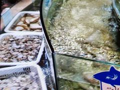 -大金山酒店