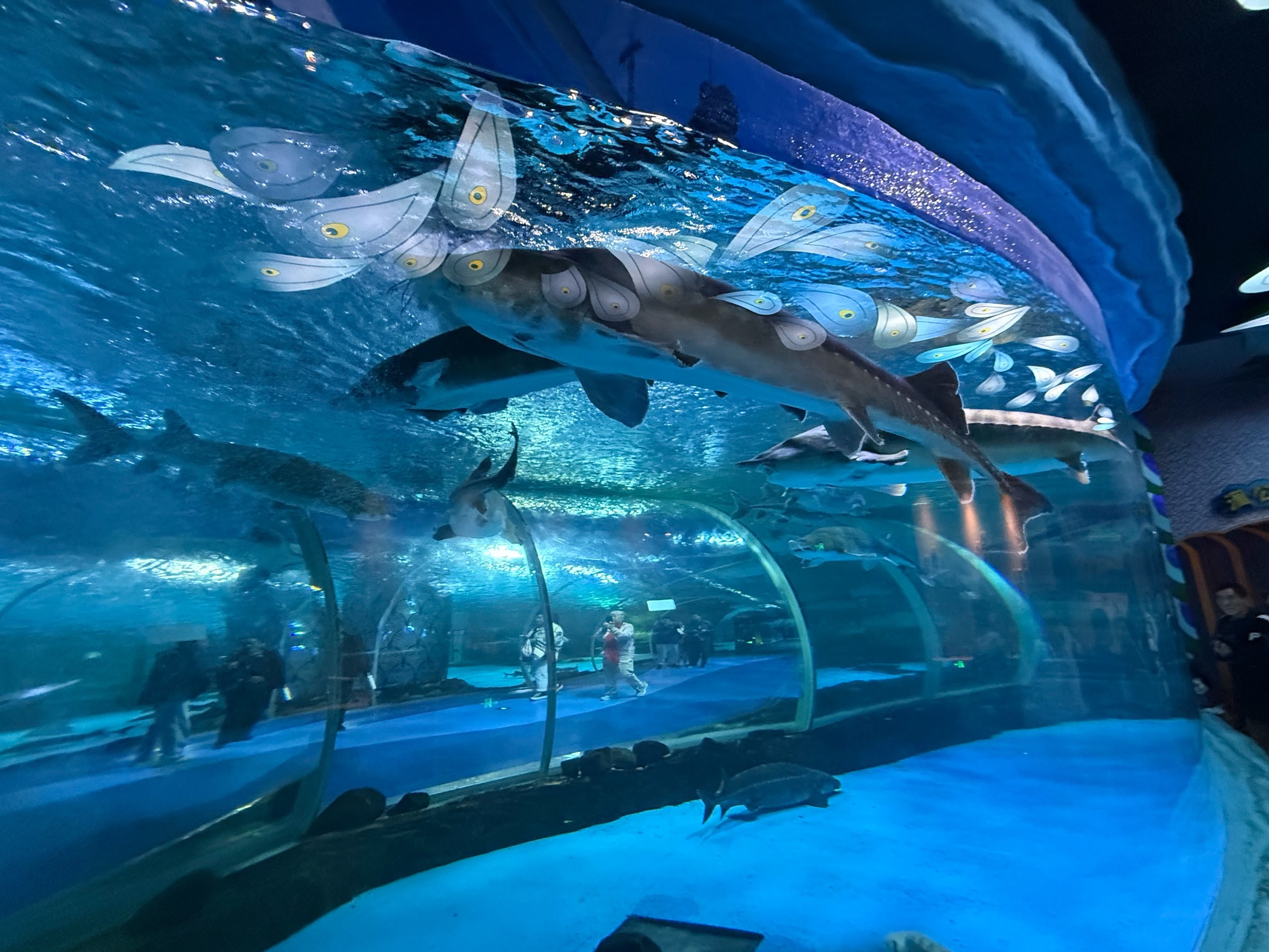 水底世界奇趣游览