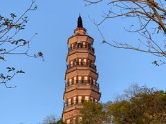 -顺峰山公园