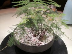 -佬麻雀·新湘菜(珠海金发购物中心店)