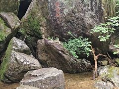 -天目山大树王景区