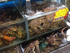 -蚝专家(北滘店)