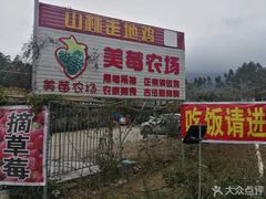门面-美莓农场