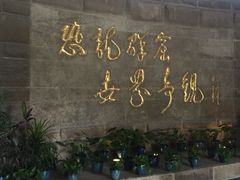 景点-自贡恐龙博物馆