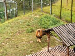 -青藏高原野生动物园