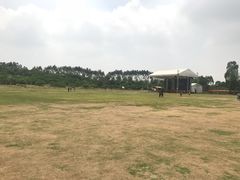 -秀丽东方