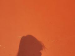 -河南省黄河迎宾馆