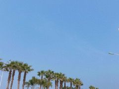 -海堤纪念公园