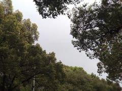 -乔伯凉面(白沙路店)