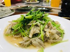 芫爆散丹-壹条龙饭庄台基厂店