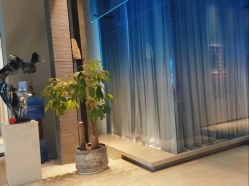 -蒂伊·品质医美