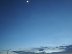 -白鹭洲公园