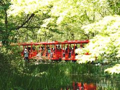 -上海共青森林公园