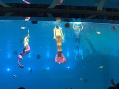 -瑞德姆美人鱼海底演艺主题餐厅(亚龙湾店)