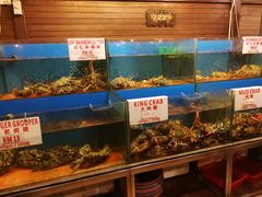 -真浪花园海鲜餐馆