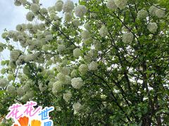 -大龙山(地铁站)