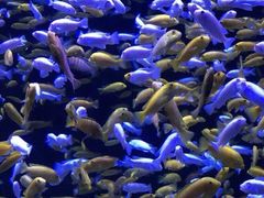 -成都浩海立方海洋公园