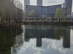 -尚贤河湿地