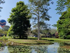 -中国科学院西双版纳热带植物园