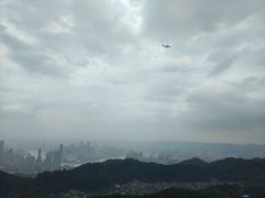 -大金鹰园