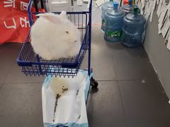 -成都失恋馆