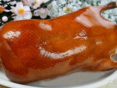 -陇菜和盛祥(金轮宾馆店)