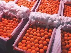 -菜园坝水果市场